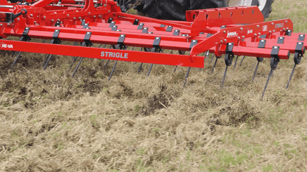 Entretien - Herse étrille - Herse étrille polyvalente TOP STRIGLE