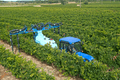 Pulvérisation - Pulvérisateurs vigne - Pulvérisateur trainé WIN'AIR