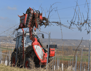 Entretien - Taille viti-arbo - Tireuse de bois