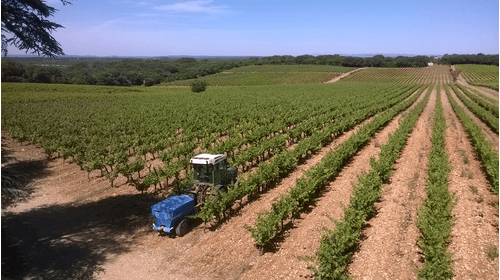 Pulvérisation - Pulvérisateurs vigne - Poudreuse trainée APOLO