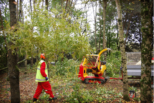 Matériel forestier - Broyeur de branches - Broyeur de branches sur chenilles VEGETOR C