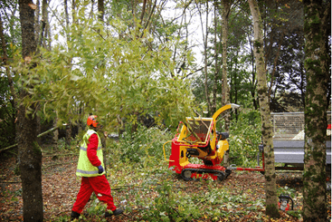 Matériel forestier - Broyeur de branches - Broyeur de branches sur chenilles VEGETOR C