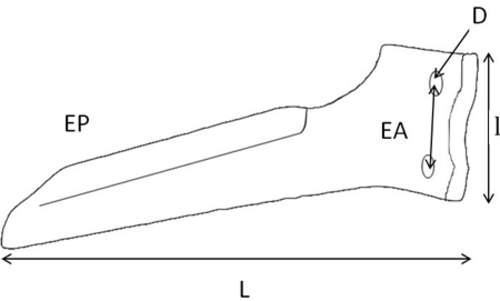 Pièces d'usure outil animé - Howard - Dent de herse boulonnée 340 x 18 gauche origine
