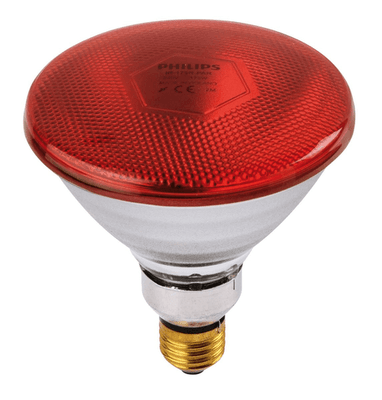 Elevage - Matériel - Ampoule PHILIPS rouge 175 W