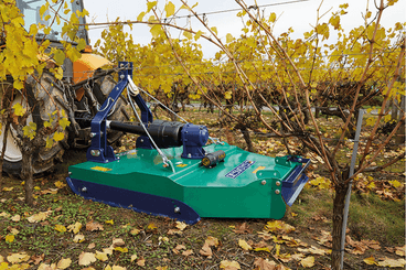 Entretien - Broyeur axe vertical - Gyrobroyeur Vigne