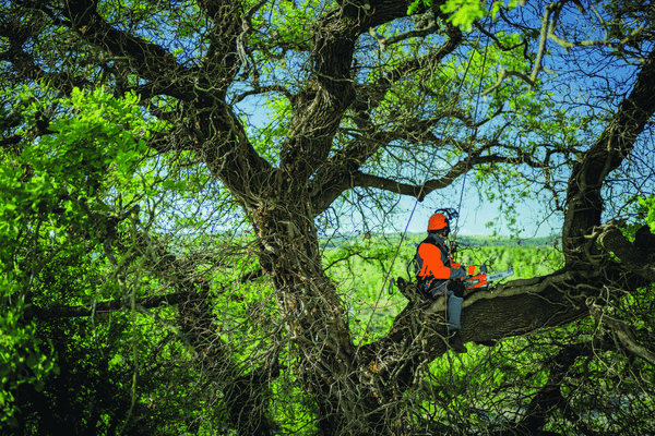 Bois - Tronçonneuses thermique - Tronçonneuse élagueuse GST 360 - 35 cm