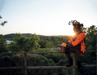 Bois - Tronçonneuses thermique - Tronçonneuse élagueuse GST 360 - 35 cm